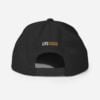 The Power Cap - Image 3
