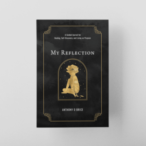 my reflection journal by anthony d brice