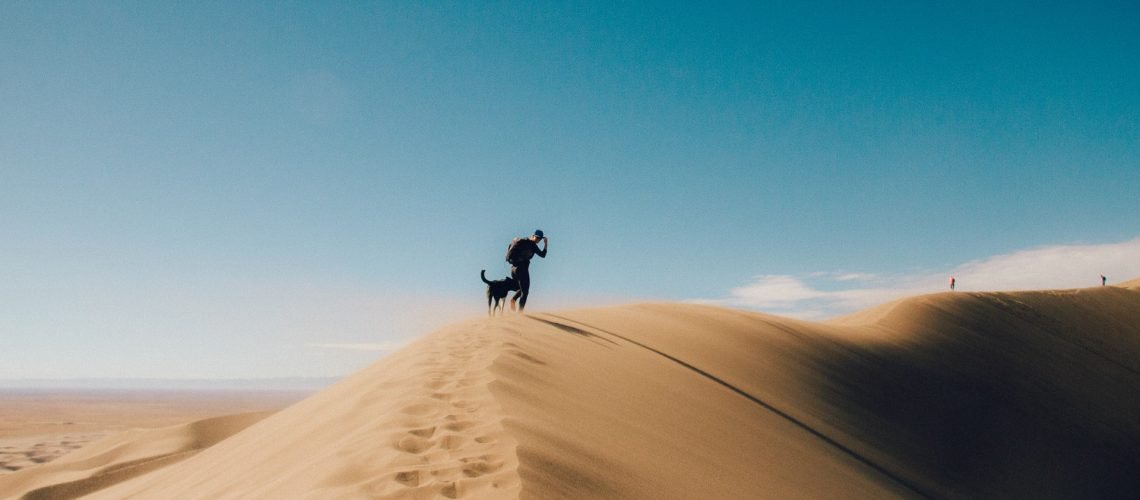 holly-mandarich-duq_b5-unhw-unsplash